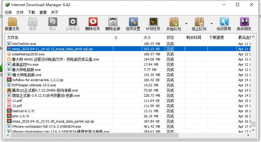 Internet Download Manager v6.42.32 中文绿色特别版(IDM下载利器)